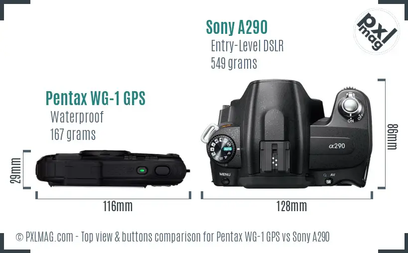 Pentax WG-1 GPS vs Sony A290 top view buttons comparison Pentax WG-1 GPS vs Sony A290 top view buttons comparison