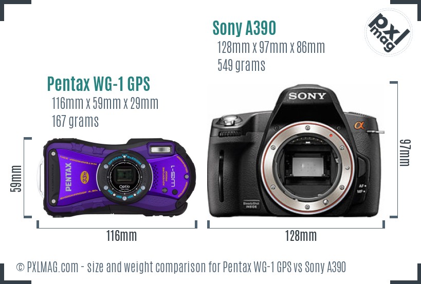 Pentax WG-1 GPS vs Sony A390 size comparison