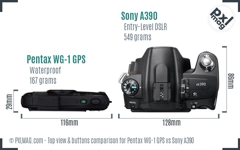 Pentax WG-1 GPS vs Sony A390 top view buttons comparison
