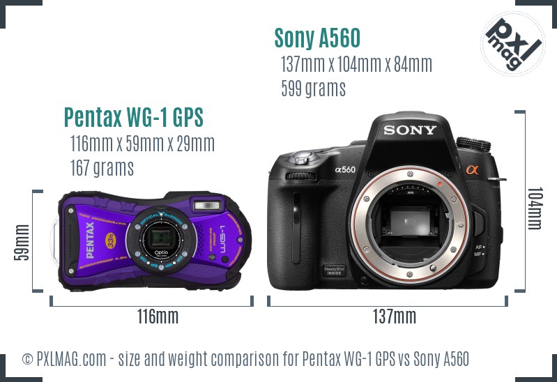 Pentax WG-1 GPS vs Sony A560 size comparison
