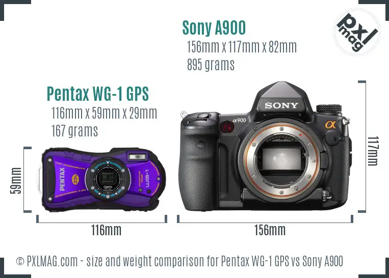 Pentax WG-1 GPS vs Sony A900 size comparison Pentax WG-1 GPS vs Sony A900 size comparison