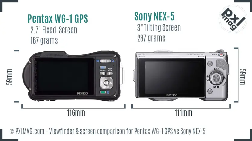 Pentax WG-1 GPS vs Sony NEX-5 Screen and Viewfinder comparison