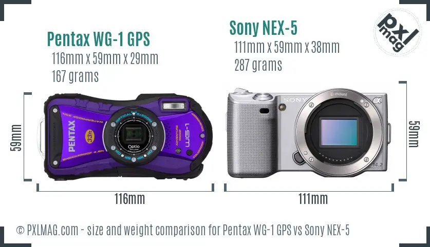 Pentax WG-1 GPS vs Sony NEX-5 size comparison