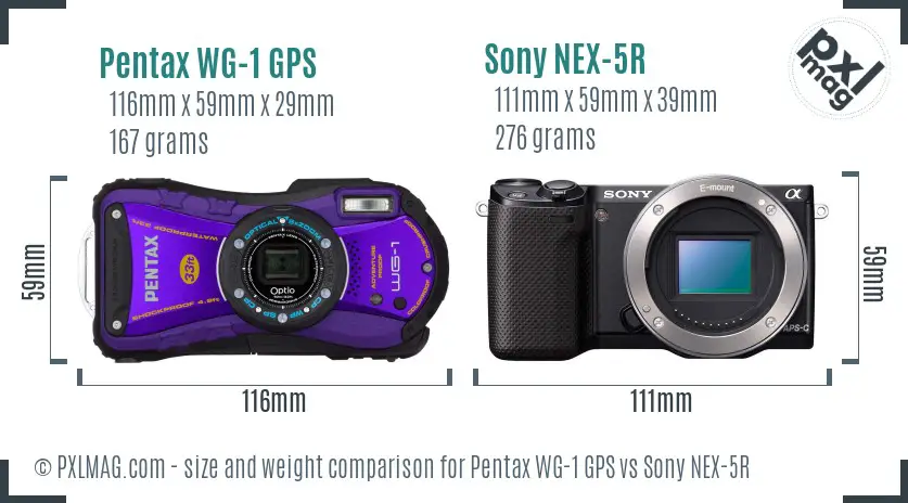 Size Comparison