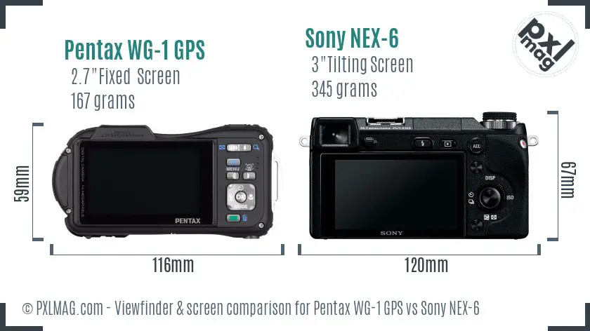 Pentax WG-1 GPS vs Sony NEX-6 Screen and Viewfinder comparison Pentax WG-1 GPS vs Sony NEX-6 Screen and Viewfinder comparison