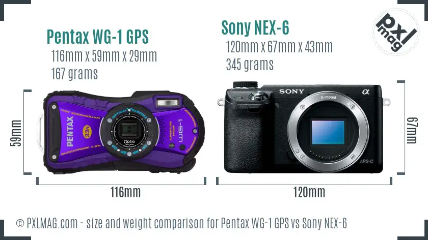 Pentax WG-1 GPS vs Sony NEX-6 size comparison Pentax WG-1 GPS vs Sony NEX-6 size comparison