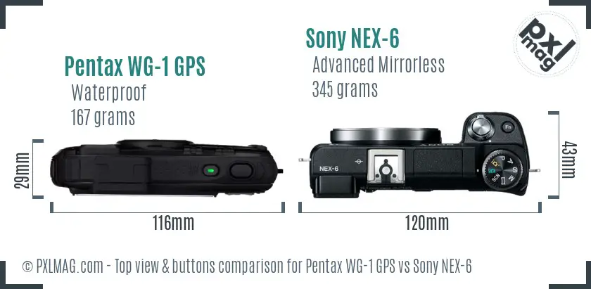 Pentax WG-1 GPS vs Sony NEX-6 top view buttons comparison Pentax WG-1 GPS vs Sony NEX-6 top view buttons comparison