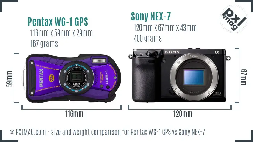 Pentax WG-1 GPS vs Sony NEX-7 size comparison Pentax WG-1 GPS vs Sony NEX-7 size comparison