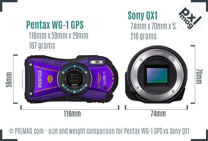 Pentax WG-1 GPS vs Sony QX1 size comparison