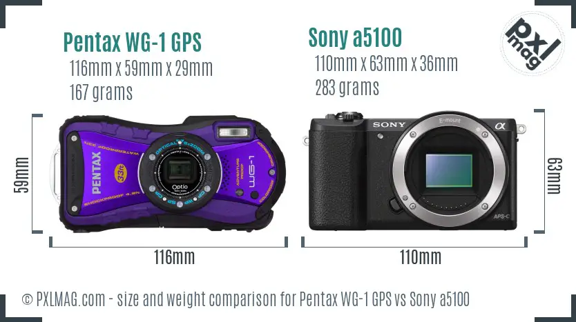 Pentax WG-1 GPS vs Sony a5100 size comparison