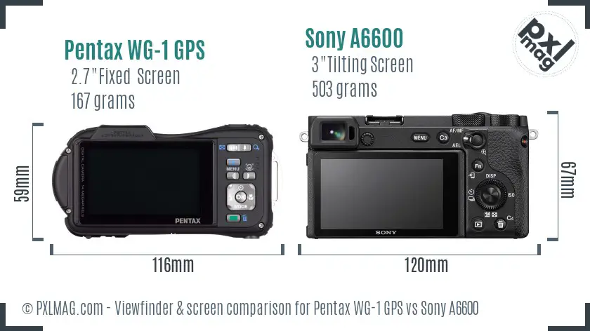 Pentax WG-1 GPS vs Sony A6600 Screen and Viewfinder comparison