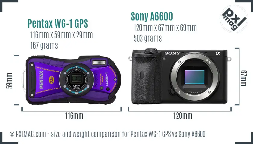 Pentax WG-1 GPS vs Sony A6600 size comparison Pentax WG-1 GPS vs Sony A6600 size comparison