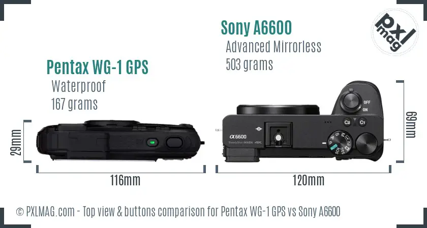 Pentax WG-1 GPS vs Sony A6600 top view buttons comparison