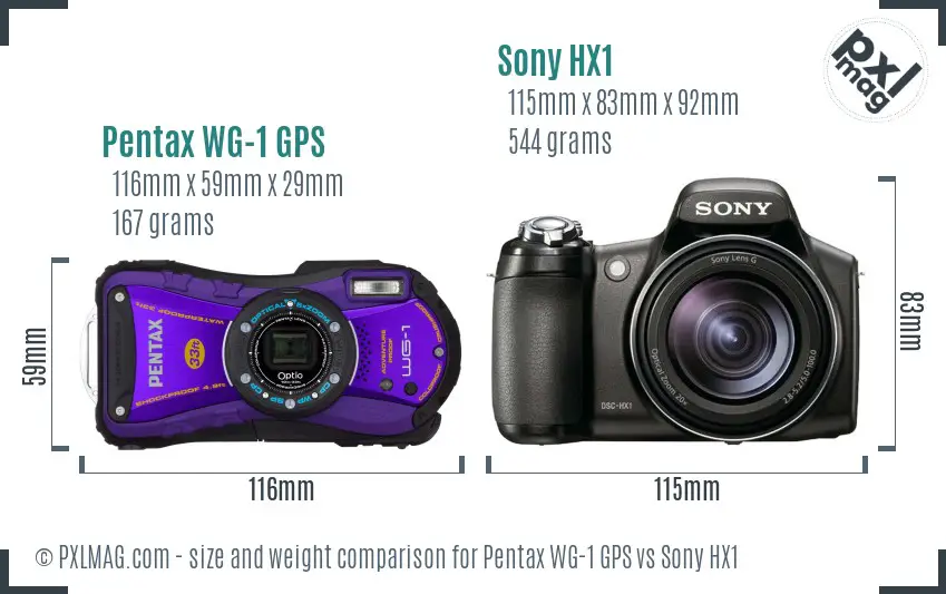 Pentax WG-1 GPS vs Sony HX1 size comparison