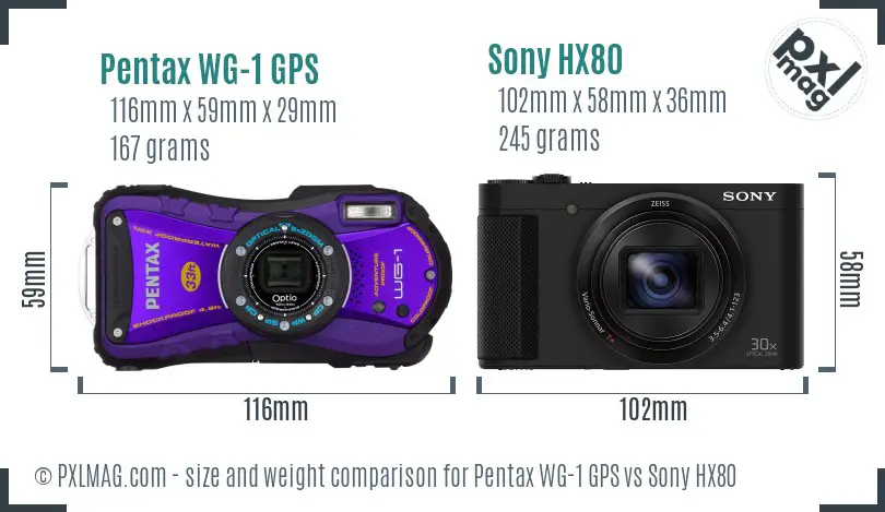 Pentax WG-1 GPS vs Sony HX80 size comparison