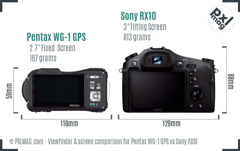 Pentax WG-1 GPS vs Sony RX10 Screen and Viewfinder comparison