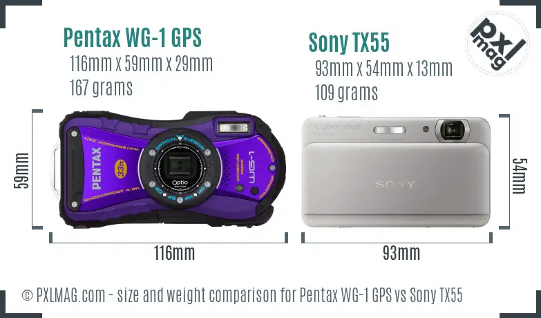 Pentax WG-1 GPS vs Sony TX55 size comparison