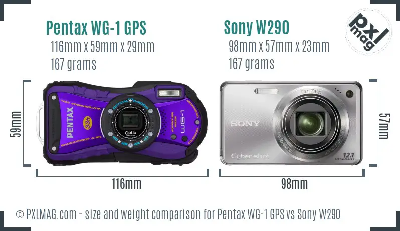 Pentax WG-1 GPS vs Sony W290 size comparison