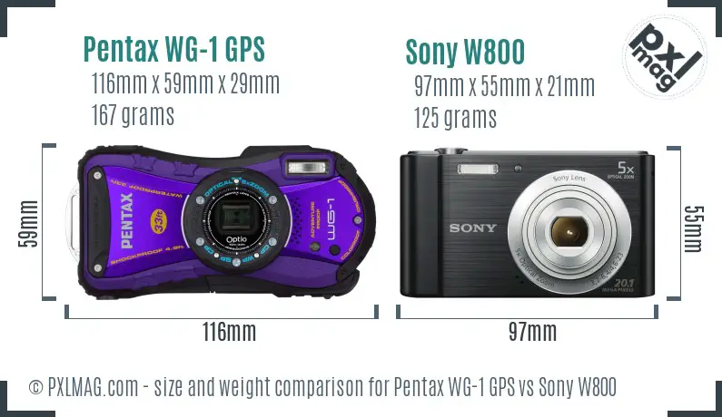 Pentax WG-1 GPS vs Sony W800 size comparison