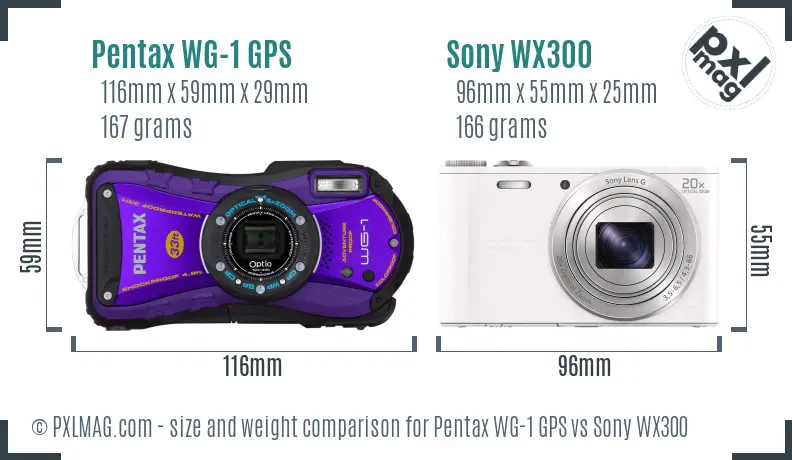 Pentax WG-1 GPS vs Sony WX300 size comparison