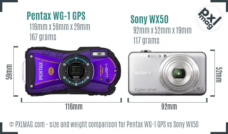 Pentax WG-1 GPS vs Sony WX50 size comparison Pentax WG-1 GPS vs Sony WX50 size comparison