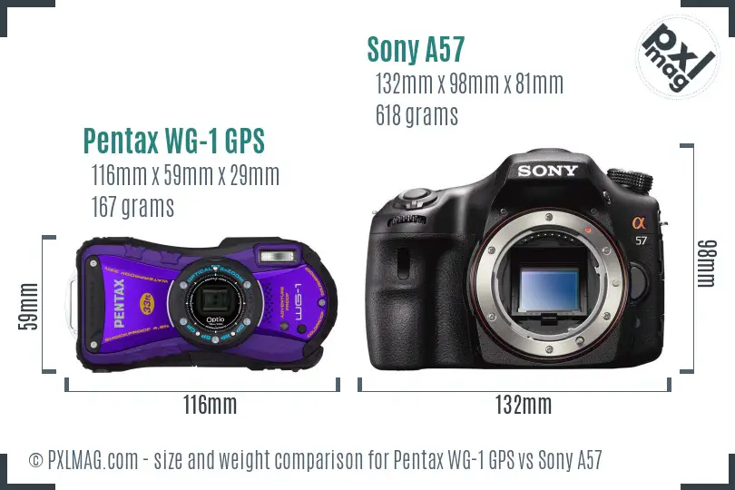 Pentax WG-1 GPS vs Sony A57 size comparison Pentax WG-1 GPS vs Sony A57 size comparison