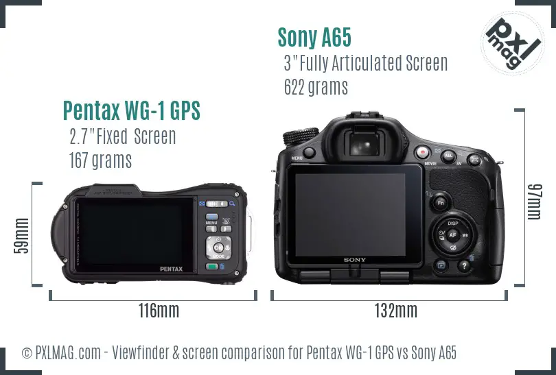Pentax WG-1 GPS vs Sony A65 Screen and Viewfinder comparison