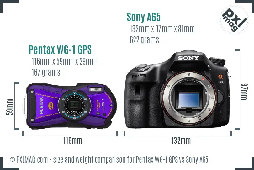 Pentax WG-1 GPS vs Sony A65 size comparison