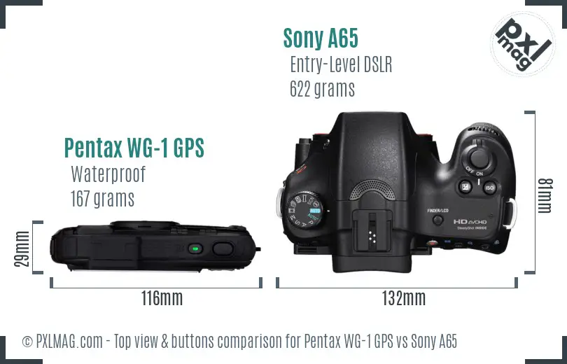 Pentax WG-1 GPS vs Sony A65 top view buttons comparison
