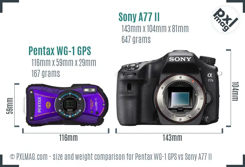 Pentax WG-1 GPS vs Sony A77 II size comparison Pentax WG-1 GPS vs Sony A77 II size comparison