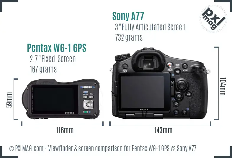 Pentax WG-1 GPS vs Sony A77 Screen and Viewfinder comparison