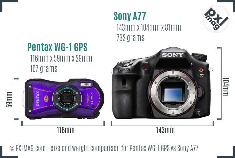 Pentax WG-1 GPS vs Sony A77 size comparison