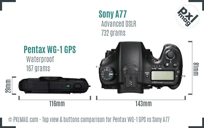 Pentax WG-1 GPS vs Sony A77 top view buttons comparison