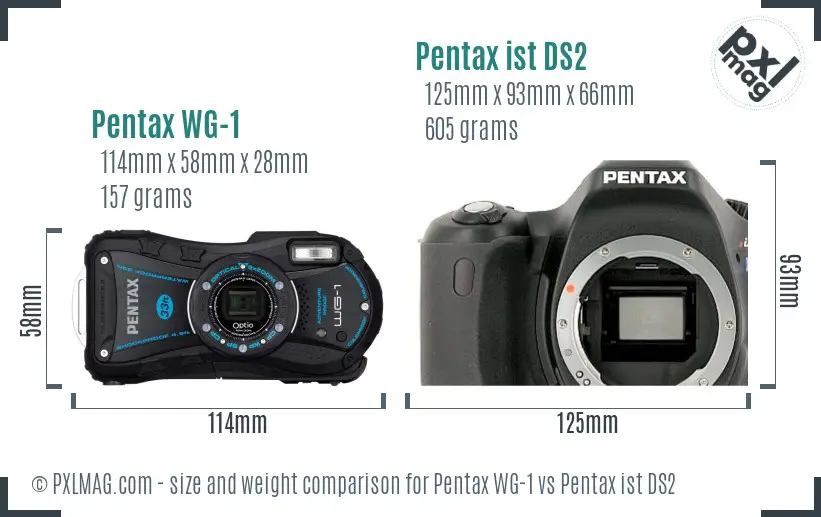 Pentax WG-1 vs Pentax ist DS2 size comparison