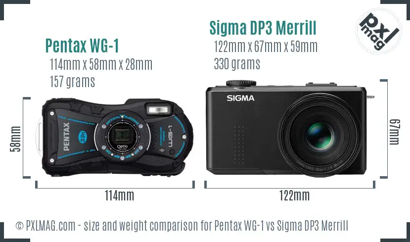 Pentax WG-1 vs Sigma DP3 Merrill size comparison