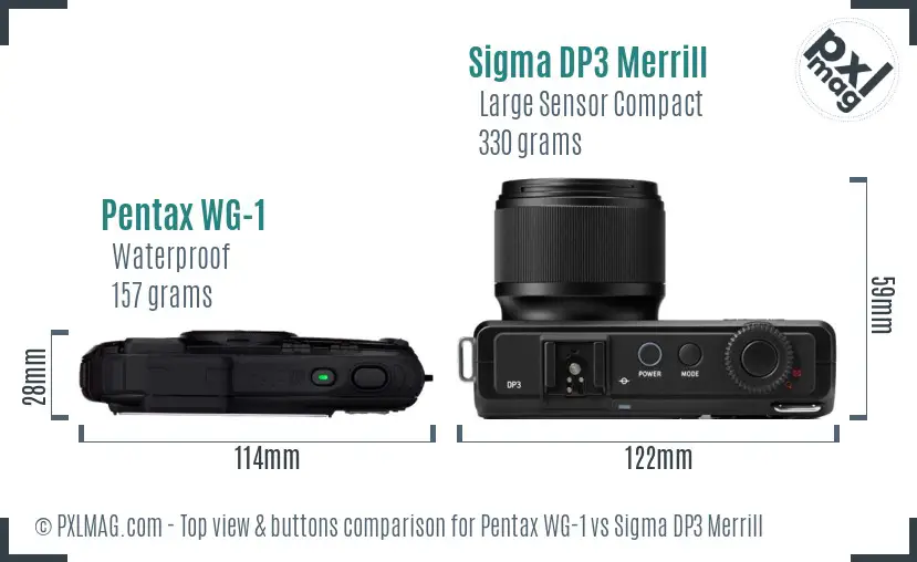 Pentax WG-1 vs Sigma DP3 Merrill top view buttons comparison