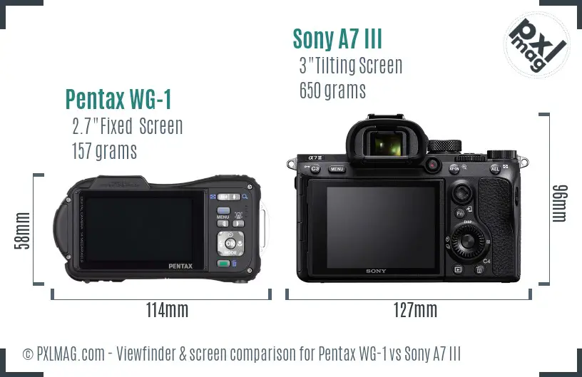 Pentax WG-1 vs Sony A7 III Screen and Viewfinder comparison