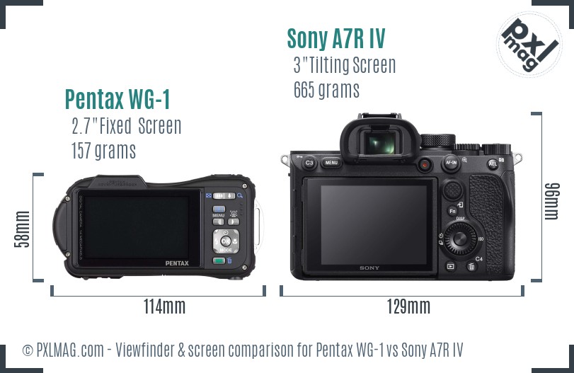 Pentax WG-1 vs Sony A7R IV Screen and Viewfinder comparison