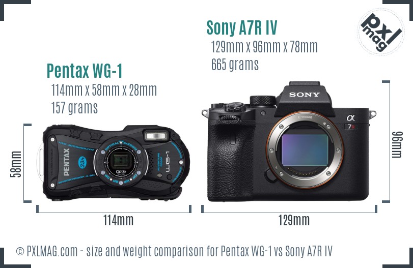 Pentax WG-1 vs Sony A7R IV size comparison