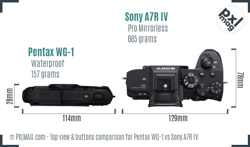 Pentax WG-1 vs Sony A7R IV top view buttons comparison