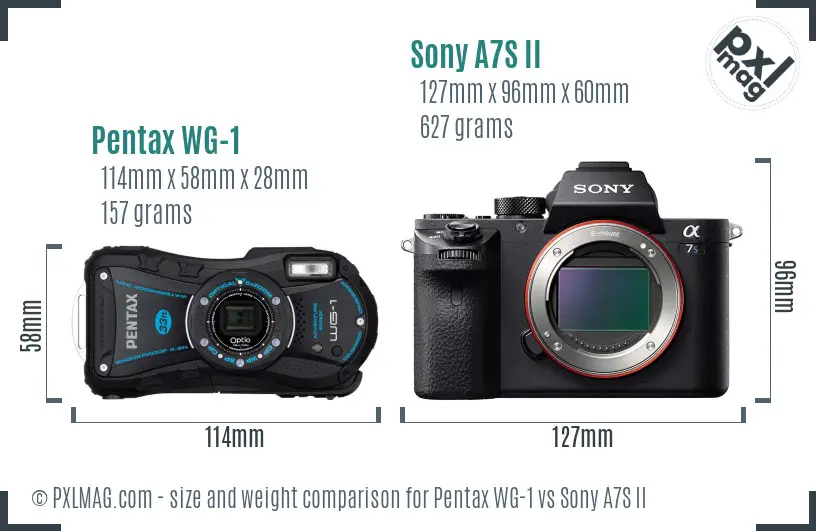 Pentax WG-1 vs Sony A7S II size comparison