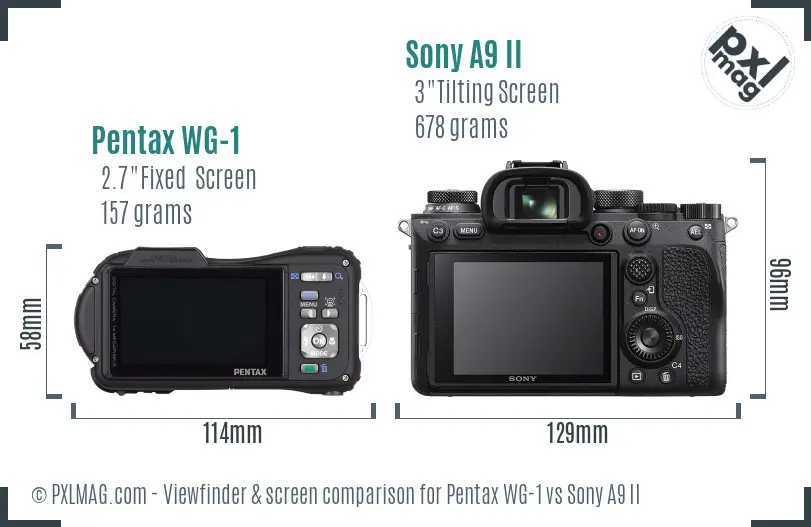 Pentax WG-1 vs Sony A9 II Screen and Viewfinder comparison