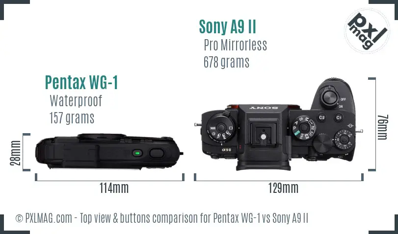 Pentax WG-1 vs Sony A9 II top view buttons comparison