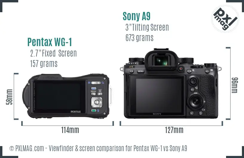 Pentax WG-1 vs Sony A9 Screen and Viewfinder comparison Pentax WG-1 vs Sony A9 Screen and Viewfinder comparison