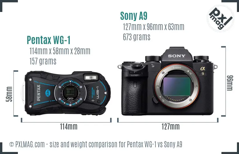 Pentax WG-1 vs Sony A9 size comparison Pentax WG-1 vs Sony A9 size comparison