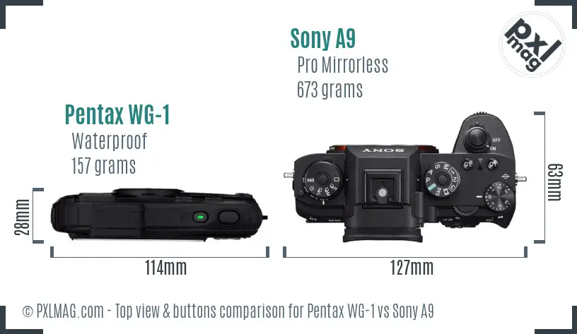 Pentax WG-1 vs Sony A9 top view buttons comparison Pentax WG-1 vs Sony A9 top view buttons comparison