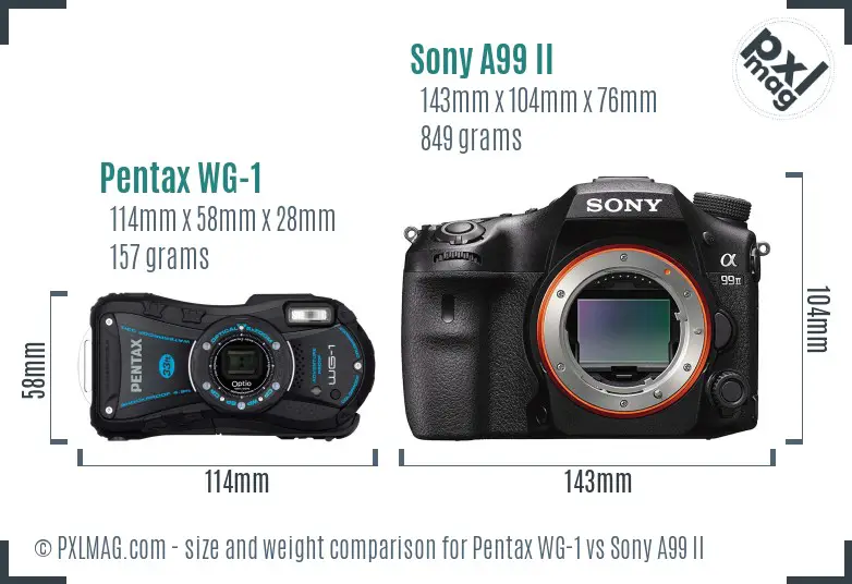 Pentax WG-1 vs Sony A99 II size comparison