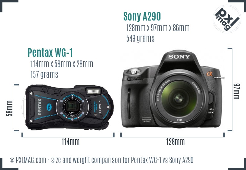 Pentax WG-1 vs Sony A290 size comparison Pentax WG-1 vs Sony A290 size comparison