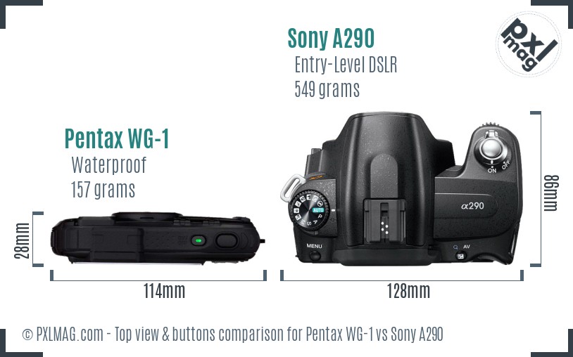 Pentax WG-1 vs Sony A290 top view buttons comparison