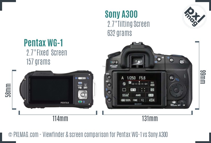 Pentax WG-1 vs Sony A300 Screen and Viewfinder comparison